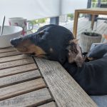 GPA: alkuvaiheen sanastoharjoitus