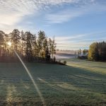 Kielenoppiminen ja dekolonisaatio